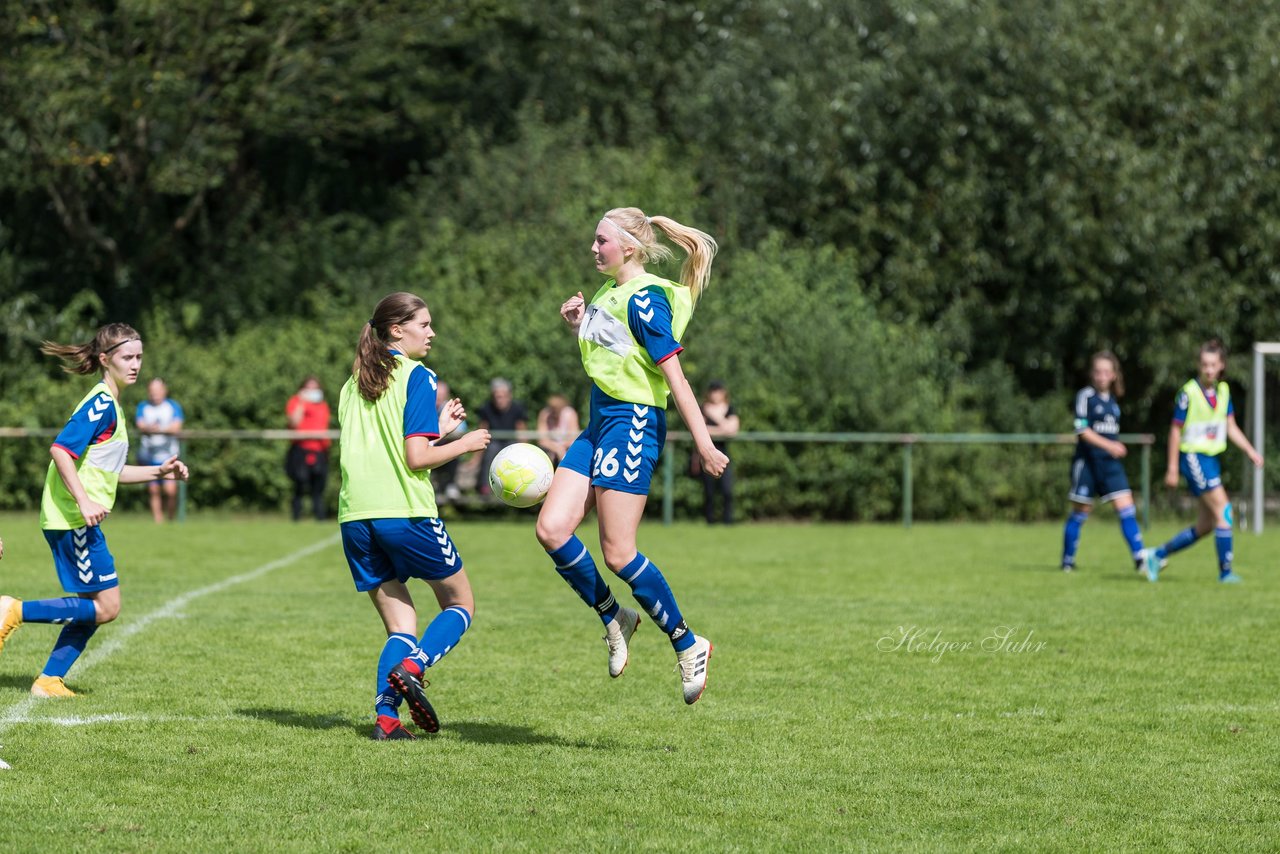 Bild 325 - B-Juniorinnen VfL Pinneberg - HSV : Ergebnis: 1:4